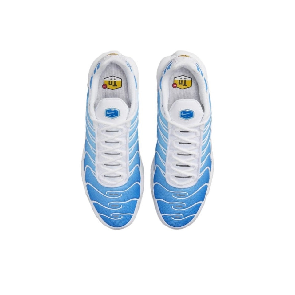 Nike Air Max Plus Sky Blue