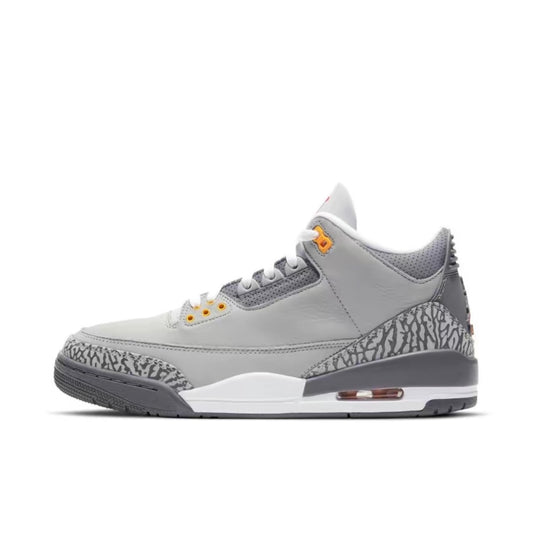 Jordan 3 Retro Cool Grey (2021)