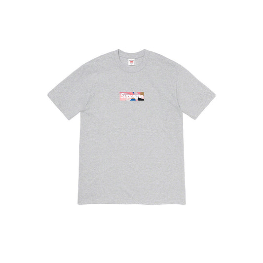 Supreme Emilio Pucci Box Logo Tee